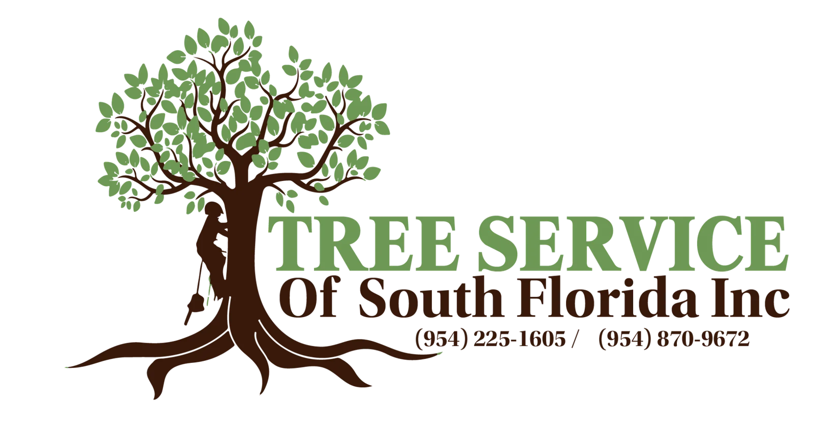 Sin titulo 1 Mesa de trabajo 1 copia 1 2048x1086